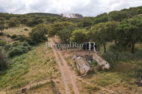 Landejendom i Borba, Evora, Borba - € 2.000.000 | Ref: 809-3 - foto 14