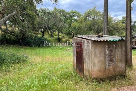 Landejendom i Borba, Evora, Borba - € 2.000.000 | Ref: 809-3 - foto 19