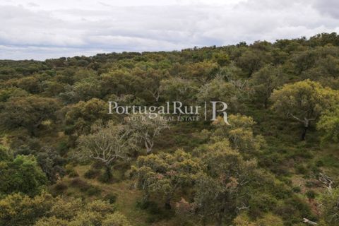 Landejendom i Borba, Evora, Borba - € 2.000.000 | Ref: 809-3 - foto 25