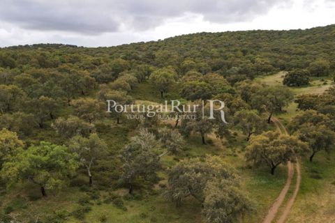 Landejendom i Borba, Evora, Borba - € 2.000.000 | Ref: 809-3 - foto 26