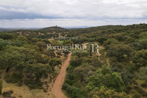Landejendom i Borba, Evora, Borba - € 2.000.000 | Ref: 809-3 - foto 27