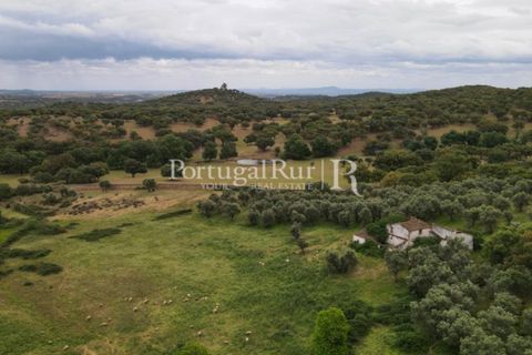 Landejendom i Borba, Evora, Borba - € 2.000.000 | Ref: 809-3 - foto 28