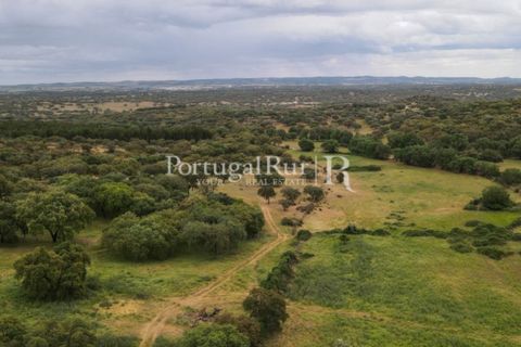 Landejendom i Borba, Evora, Borba - € 2.000.000 | Ref: 809-3 - foto 29