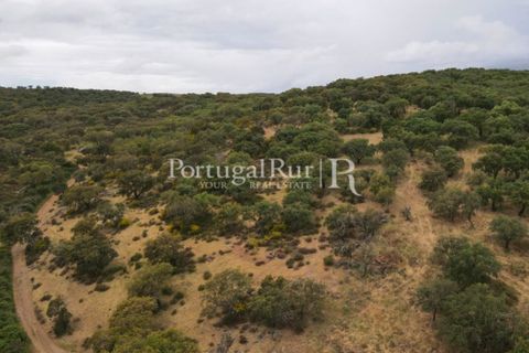Landejendom i Borba, Evora, Borba - € 2.000.000 | Ref: 809-3 - foto 31