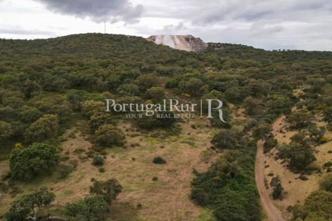 Landejendom i Borba, Evora, Borba - € 2.000.000 | Ref: 809-3 - foto 32