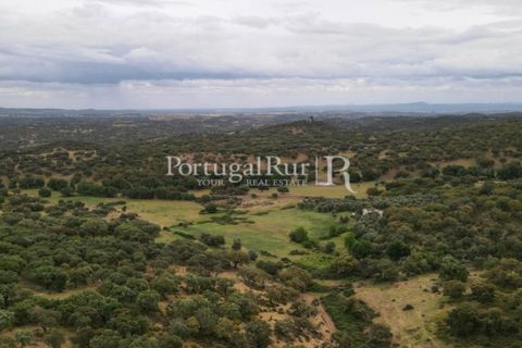 Landejendom i Borba, Evora, Borba - € 2.000.000 | Ref: 809-3 - foto 34