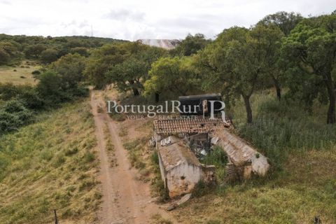 Landejendom i Borba, Evora, Borba - € 2.000.000 | Ref: 809-3 - foto 39