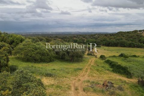 Landejendom i Borba, Evora, Borba - € 2.000.000 | Ref: 809-3 - foto 40