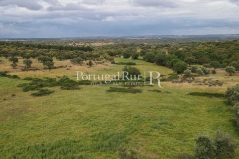 Landejendom i Borba, Evora, Borba - € 2.000.000 | Ref: 809-3 - foto 46
