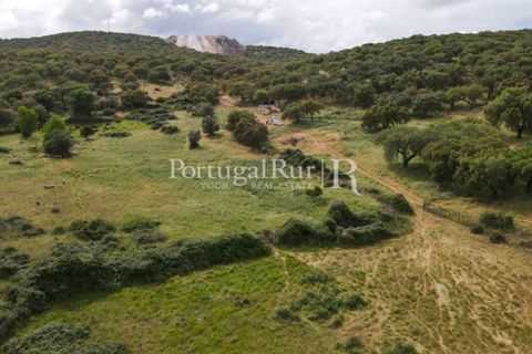 Landejendom i Borba, Evora, Borba - € 2.000.000 | Ref: 809-3 - foto 47