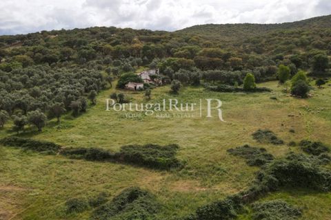 Landejendom i Borba, Evora, Borba - € 2.000.000 | Ref: 809-3 - foto 48