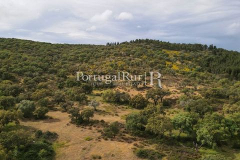 Landejendom i Borba, Evora, Borba - € 2.000.000 | Ref: 809-3 - foto 50