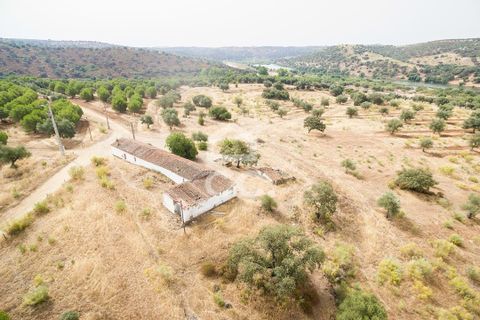 Farm i Serpa, Beja, Serpa - € 760.000 | Ref: 318/Q/02652 - foto 5
