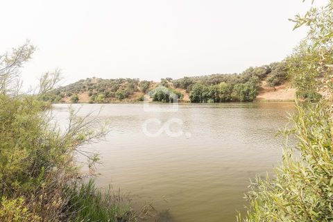 Farm i Serpa, Beja, Serpa - € 760.000 | Ref: 318/Q/02652 - foto 8