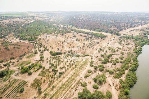 Farm i Serpa, Beja, Serpa - € 760.000 | Ref: 318/Q/02652 - foto 9