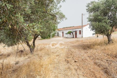 Farm i Serpa, Beja, Serpa - € 760.000 | Ref: 318/Q/02652 - foto 3