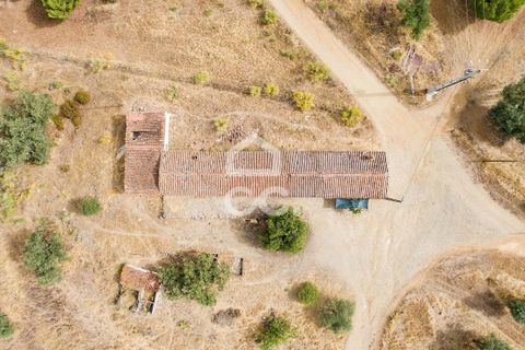 Farm i Serpa, Beja, Serpa - € 760.000 | Ref: 318/Q/02652 - foto 14