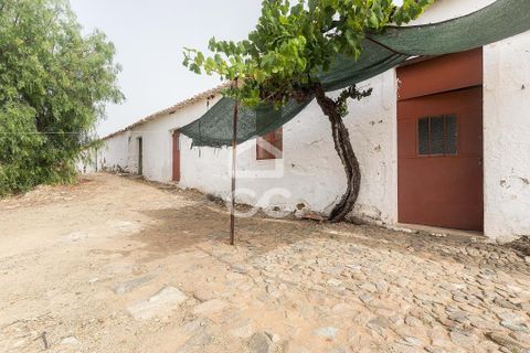 Farm i Serpa, Beja, Serpa - € 760.000 | Ref: 318/Q/02652 - foto 16