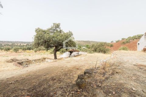Farm i Serpa, Beja, Serpa - € 760.000 | Ref: 318/Q/02652 - foto 18