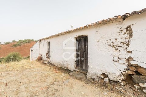 Farm i Serpa, Beja, Serpa - € 760.000 | Ref: 318/Q/02652 - foto 19