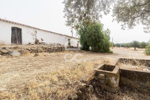 Farm i Serpa, Beja, Serpa - € 760.000 | Ref: 318/Q/02652 - foto 20