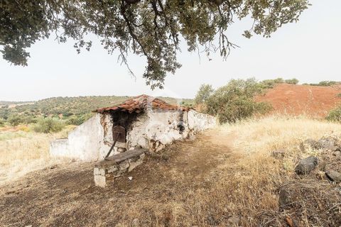 Farm i Serpa, Beja, Serpa - € 760.000 | Ref: 318/Q/02652 - foto 21