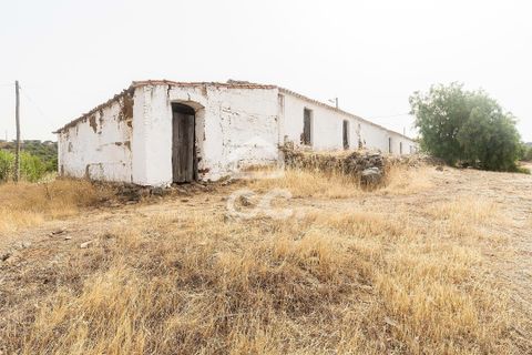 Farm i Serpa, Beja, Serpa - € 760.000 | Ref: 318/Q/02652 - foto 22