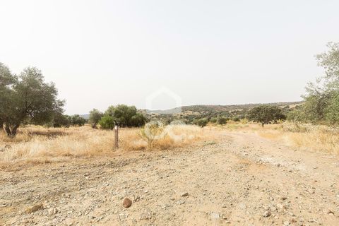Farm i Serpa, Beja, Serpa - € 760.000 | Ref: 318/Q/02652 - foto 29