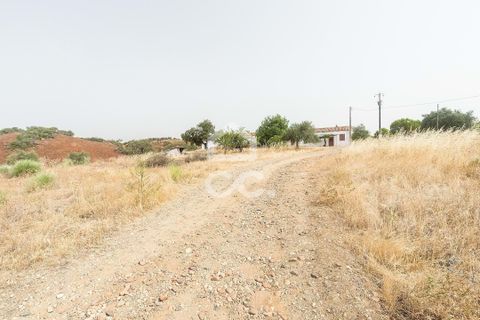 Farm i Serpa, Beja, Serpa - € 760.000 | Ref: 318/Q/02652 - foto 30
