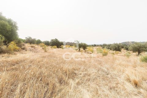 Farm i Serpa, Beja, Serpa - € 760.000 | Ref: 318/Q/02652 - foto 31
