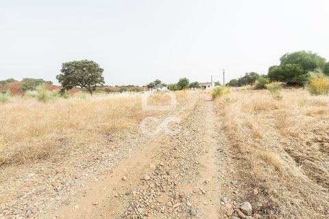 Farm i Serpa, Beja, Serpa - € 760.000 | Ref: 318/Q/02652 - foto 33