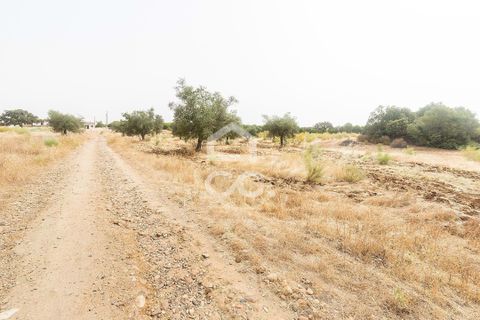 Farm i Serpa, Beja, Serpa - € 760.000 | Ref: 318/Q/02652 - foto 34