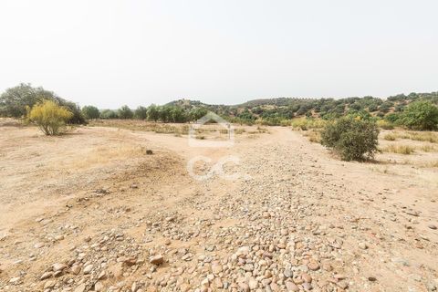 Farm i Serpa, Beja, Serpa - € 760.000 | Ref: 318/Q/02652 - foto 38