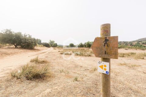 Farm i Serpa, Beja, Serpa - € 760.000 | Ref: 318/Q/02652 - foto 39