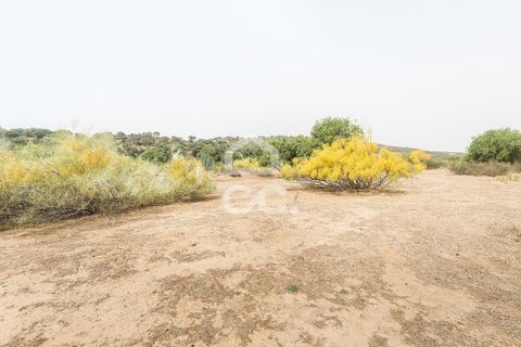 Farm i Serpa, Beja, Serpa - € 760.000 | Ref: 318/Q/02652 - foto 40