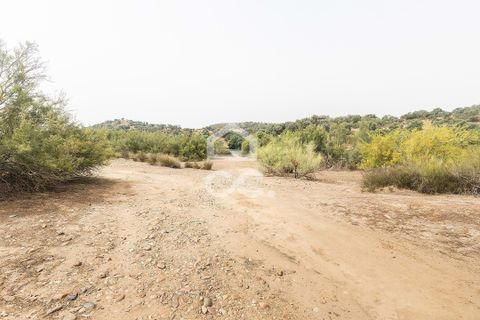 Farm i Serpa, Beja, Serpa - € 760.000 | Ref: 318/Q/02652 - foto 41