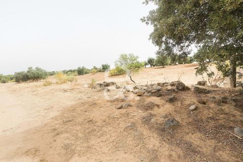 Farm i Serpa, Beja, Serpa - € 760.000 | Ref: 318/Q/02652 - foto 44