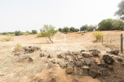 Farm i Serpa, Beja, Serpa - € 760.000 | Ref: 318/Q/02652 - foto 45