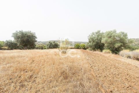 Farm i Serpa, Beja, Serpa - € 760.000 | Ref: 318/Q/02652 - foto 49