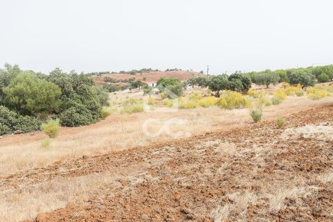 Farm i Serpa, Beja, Serpa - € 760.000 | Ref: 318/Q/02652 - foto 50