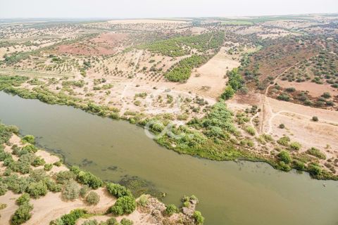 Farm i Serpa, Beja, Serpa - € 760.000 | Ref: 318/Q/02652 - foto 4