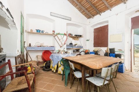 Farm i Serpa, Beja, Serpa - € 760.000 | Ref: 318/Q/02652 - foto 12