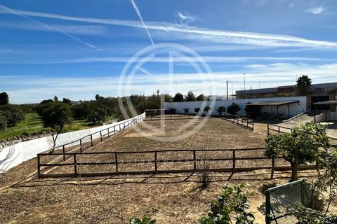 Villa i Algoz, Faro, Algoz - € 1.790.000 | Ref: GA-9799 - foto 25