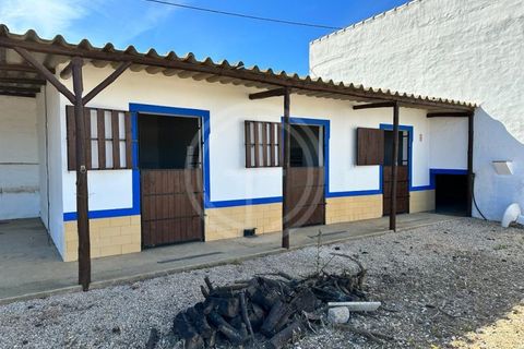 Villa i Algoz, Faro, Algoz - € 1.790.000 | Ref: GA-9799 - foto 27