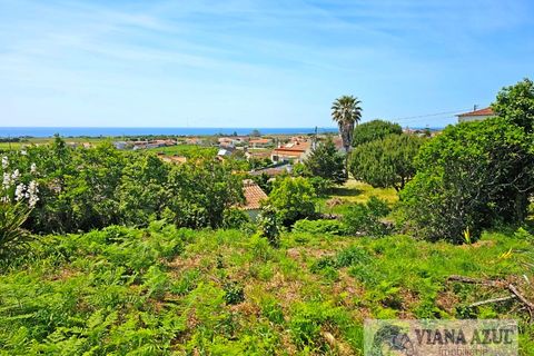 Terra a Areosa, Viana do Castelo, Areosa - € 175.000 | Ref: 2001 - foto 2