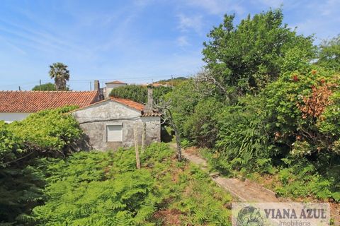 Terra a Areosa, Viana do Castelo, Areosa - € 175.000 | Ref: 2001 - foto 3