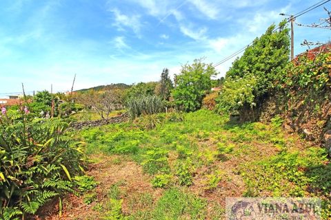 Terra a Areosa, Viana do Castelo, Areosa - € 175.000 | Ref: 2001 - foto 5