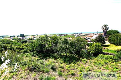 Terra a Areosa, Viana do Castelo, Areosa - € 175.000 | Ref: 2001 - foto 6