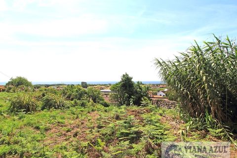 Terra a Areosa, Viana do Castelo, Areosa - € 175.000 | Ref: 2001 - foto 7