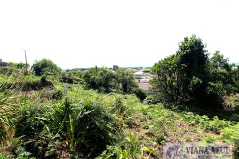 Terra a Areosa, Viana do Castelo, Areosa - € 175.000 | Ref: 2001 - foto 8